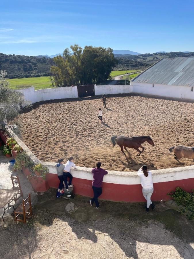 Casa Rural Finca De Las Encarnaciones Bajas Villanueva de San Juan Bagian luar foto