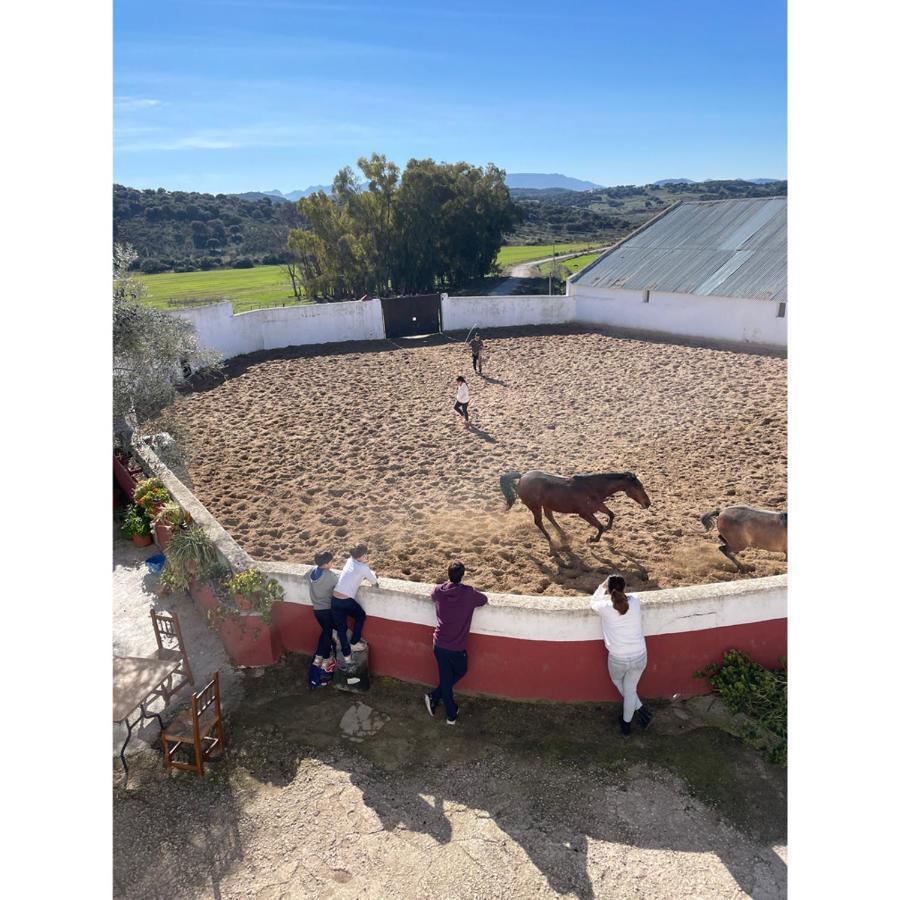 Casa Rural Finca De Las Encarnaciones Bajas Villanueva de San Juan Bagian luar foto